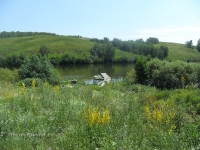 Саринский пруд (Сухайташенский пруд)