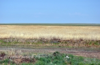 Озеро Журманколь