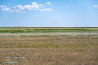 Озеро Жетыколь (малое). Июнь 2025 года