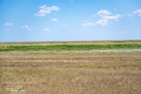 Озеро Жетыколь (малое). Июнь 2025 года