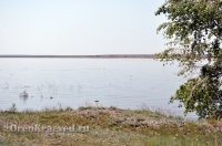 Кумакское водохранилище