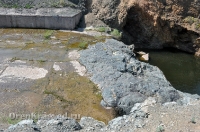 Кумакское водохранилище