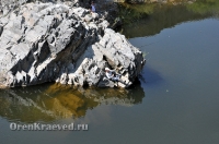 Кумакское водохранилище