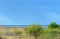 Ясненский район