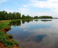 Бугурусланский район