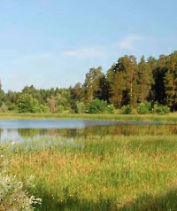 Бузулукский район