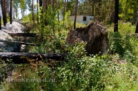 Бывший лагерь «Чайка». Июль 2012 года