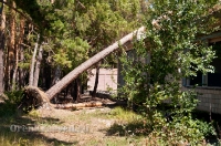 Бывший лагерь «Чайка». Июль 2012 года