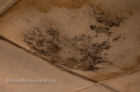 Бывший лагерь «Чайка». Июль 2012 года