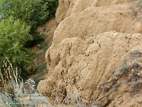 Нижнеильинский яр. Август 2023 года