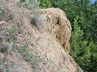 Нижнеильинский яр. Август 2023 года