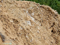 Нижнеильинский яр. Август 2023 года