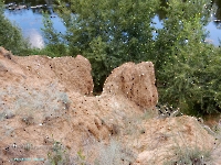 Нижнеильинский яр. Август 2023 года