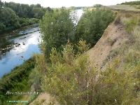 Нижнеильинский яр. Август 2023 года