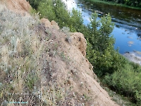 Нижнеильинский яр. Август 2023 года