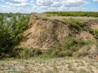 Нижнеильинский яр. Август 2023 года