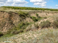 Нижнеильинский яр