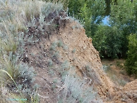 Нижнеильинский яр. Август 2023 года