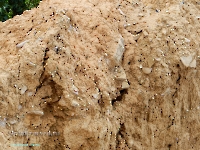 Нижнеильинский яр. Август 2023 года