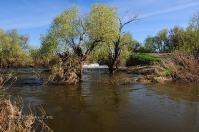 «Труба» на реке Большой Кумак. Май 2014 года