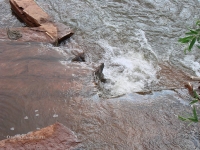 Водопады на реке Янгиз