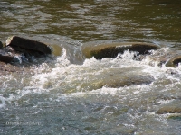 Водопады на реке Янгиз