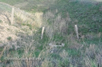 Бывшая ракетная пусковая площадка