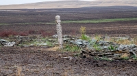 Старое кладбище со стелой-кулпытасом близ села Красноуральск