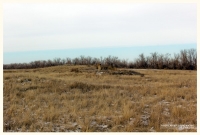 Старое кладбище со стелой-кулпытасом близ села Буранчи