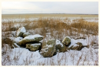 Старое кладбище со стелой-кулпытасом близ села Буранчи