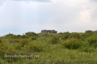 Каменные сооружения близ Адамовки