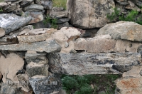 Каменные сооружения близ Адамовки