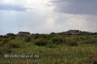 Каменные сооружения близ Адамовки