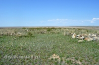 Старое кладбище близ реликтовой лиственницы 1