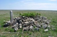 Адамовский район