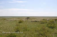 Старое кладбище близ реликтовой лиственницы 1. Май 2012 года