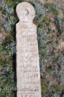 Старое кладбище близ реликтовой лиственницы 2