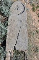 Старое кладбище близ реликтовой лиственницы 2. Май 2012 года