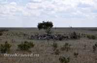 Старое кладбище близ реки Кийма. Июль 2012 года