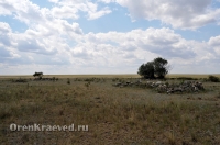 Старое кладбище близ реки Кийма. Июль 2012 года