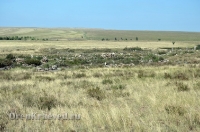 Старое кладбище близ гранитных скал «Шонкал». Июль 2012 года