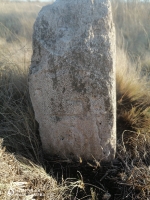 Старое кладбище близ села Покровка