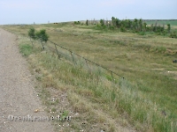 Необычный придорожный памятник