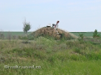 Необычный придорожный памятник. Июль 2012 года