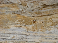 Карьер близ посёлка Пласковский. Июль 2012 года