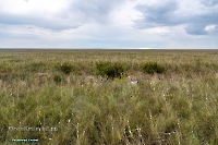 Светлинский район