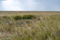 Тур. Июнь 2025 года