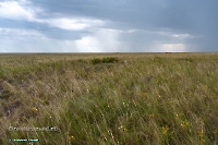 Тур. Июнь 2025 года