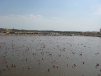 Курорт Соль-Илецк