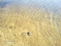 Спортивно-оздоровительный лагерь «Солнечный плёс». Июль 2011 года